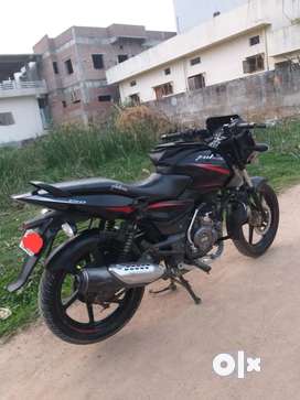 Olx pulsar online