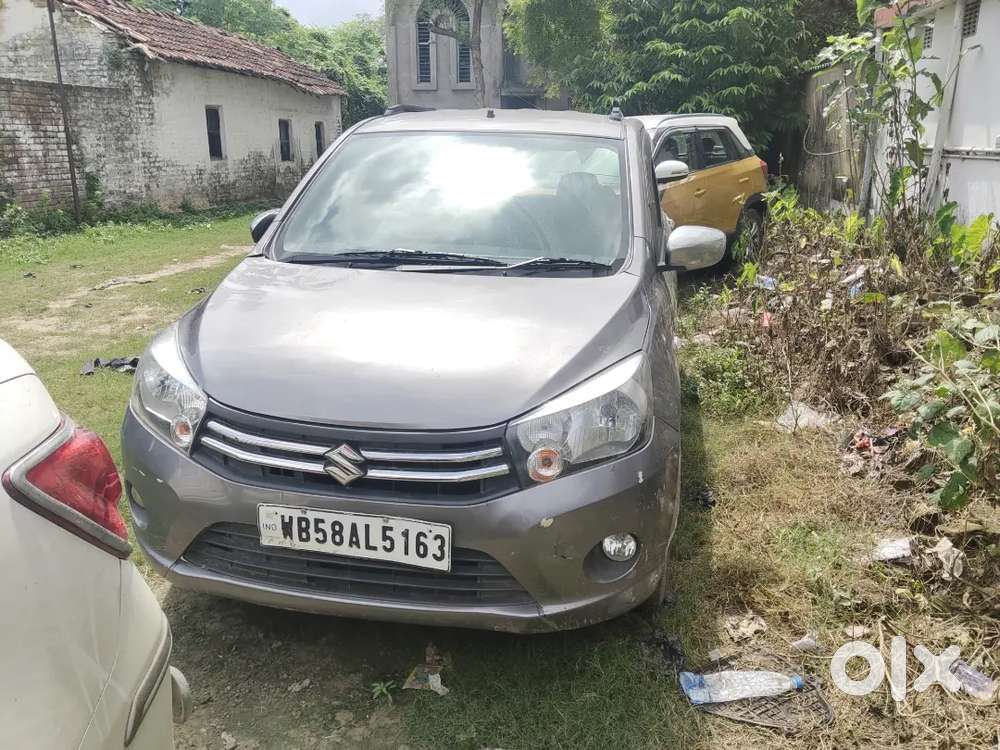 Maruti Suzuki Celerio 2016 Car