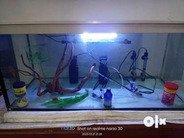 Large Fish Tank For sale - Pet Food & Accessories - 1717911409