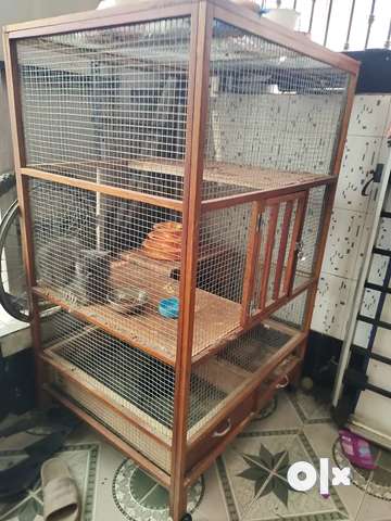 Cat best sale cage olx