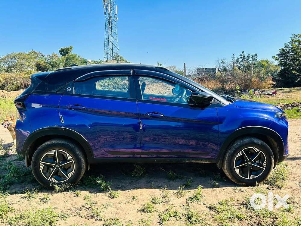 Tata Nexon 2024 Petrol Well Maintained
