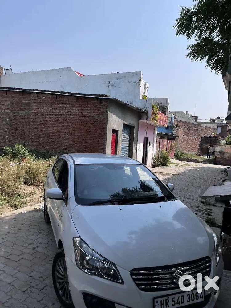 Maruti Ciaz Zdi+ 2016 | Well Maintained | Diesel | Family Used