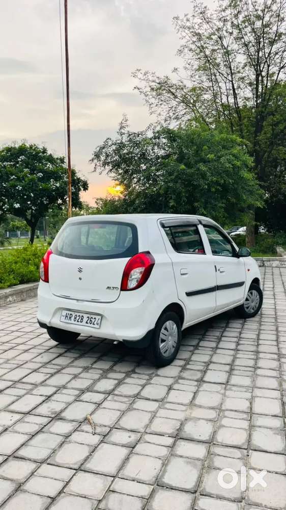 2022 Cng Company  Alto 800