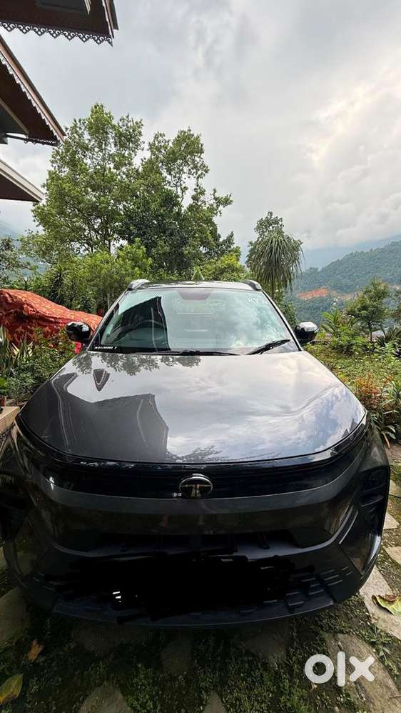 Tata Nexon Petrol 2024