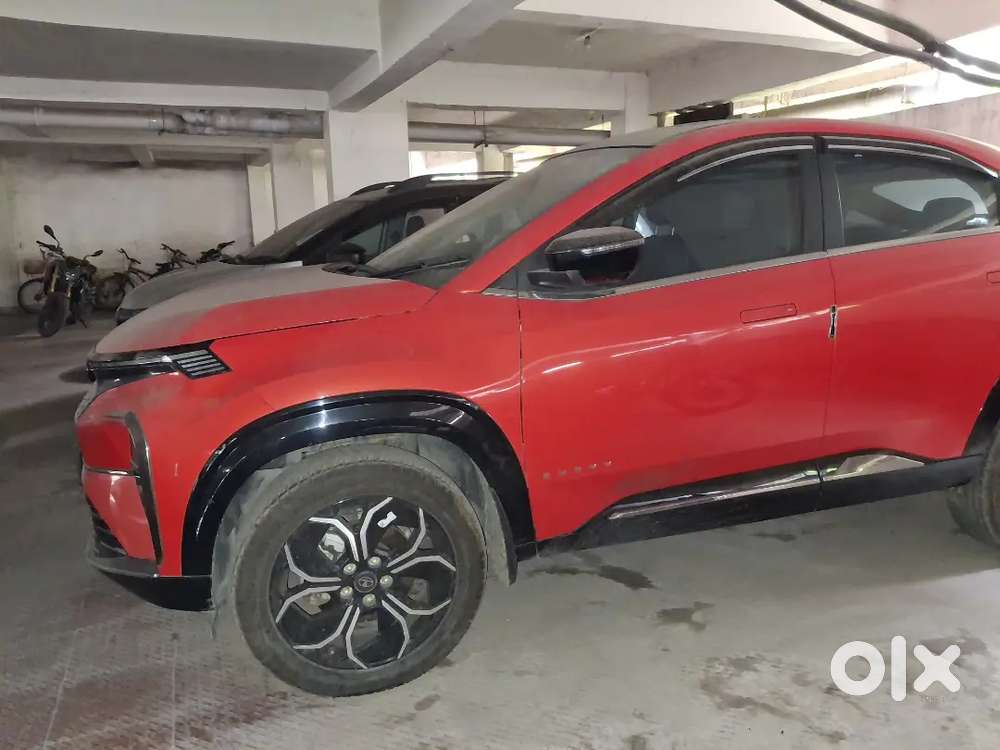 Tata Curvv 2025 Petrol 11000 Km Driven