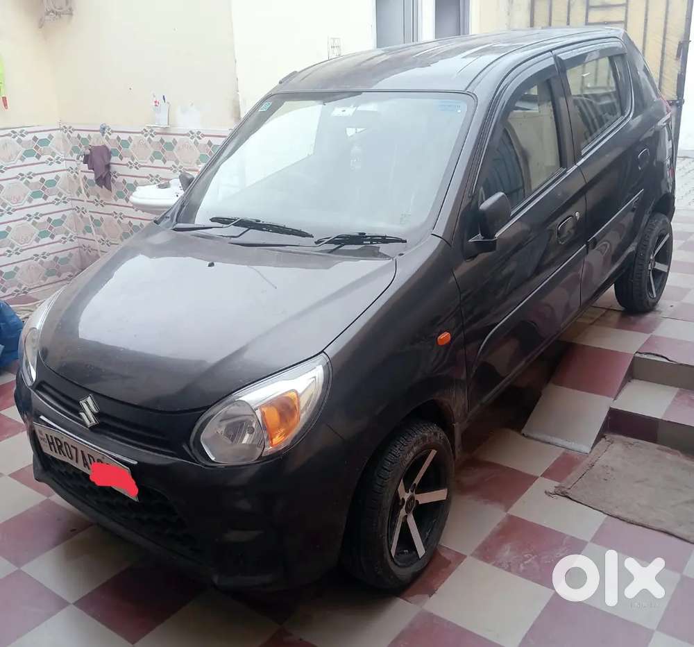 Bumper To Bumper Janeman Paint