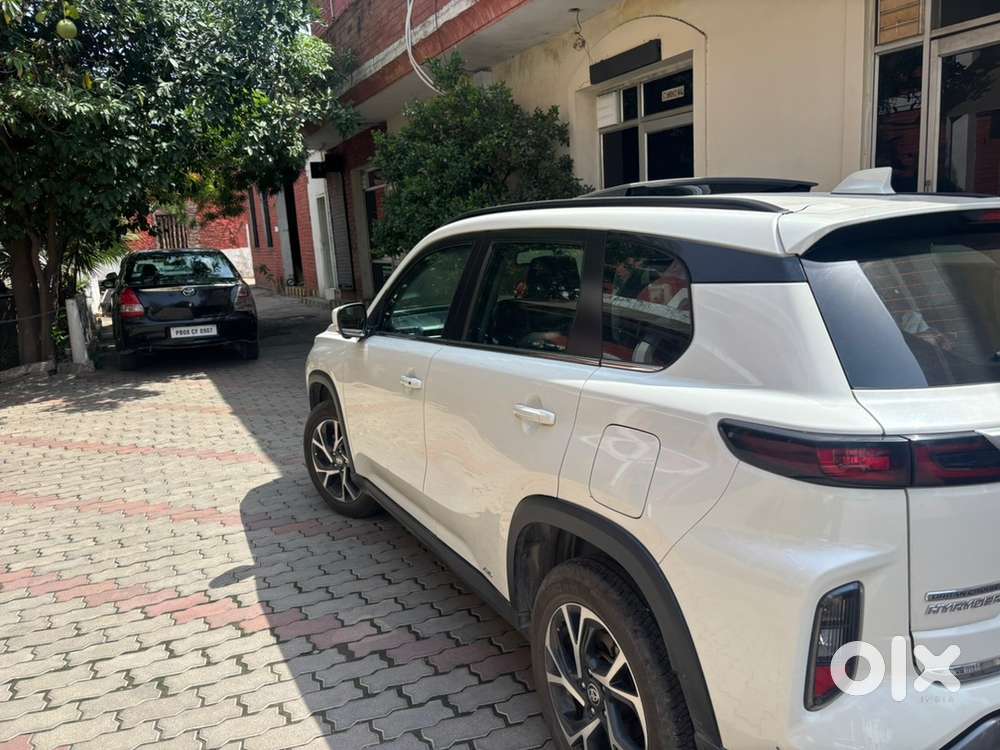 Toyota Urban Cruiser Petrol 2023