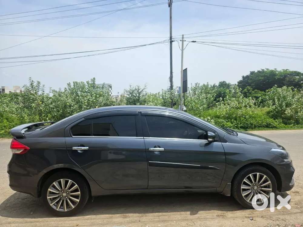 Maruti Suzuki Ciaz Alpha Petrol Manual 2025
