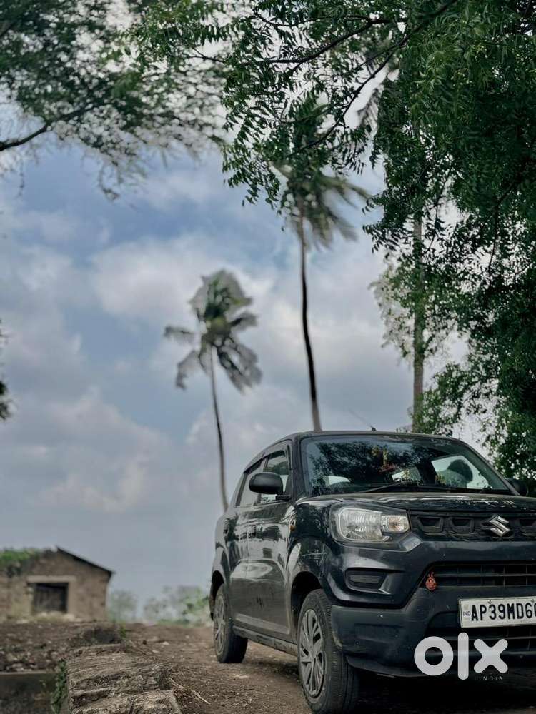 Maruti Suzuki Petrol Car 2022