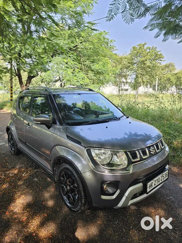 Maruti Suzuki Ignis 2023 Petrol