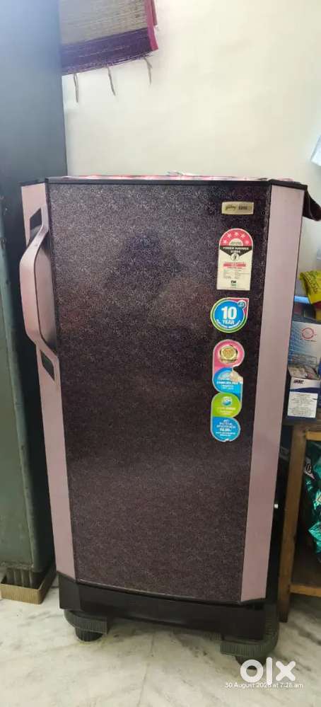 Georej Fridge