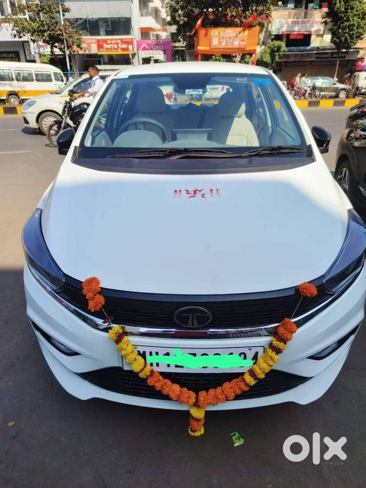New 4 Months Old Tiago Want To Sell