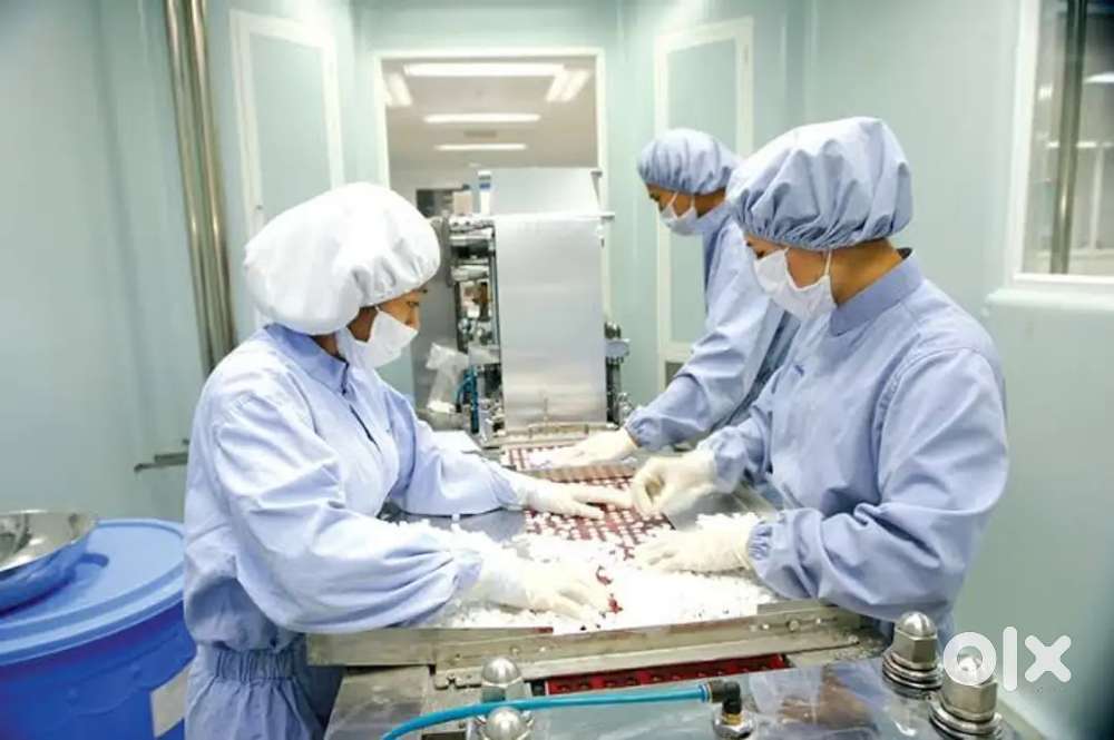 MEDICINE PACKING JOB ARE AVAILABLE APPLY NOW !!