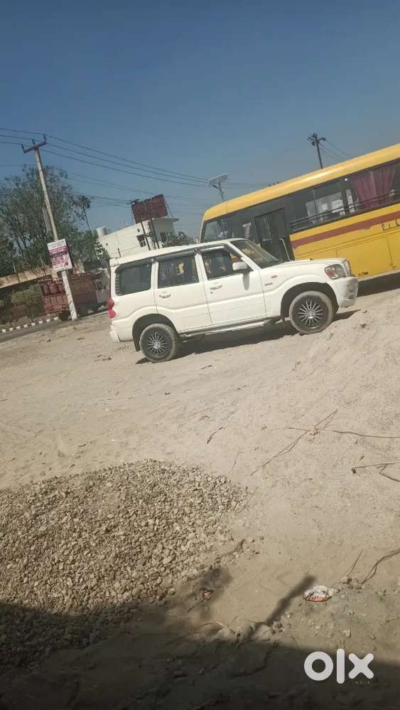 Gadi Kadi H Or Gadi Achi Candisan Me H Uk 14 No H