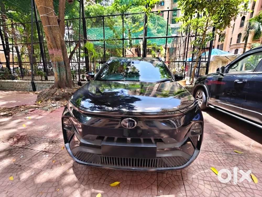 Tata Nexon EV 2025 Electric Automatic - Photo 1