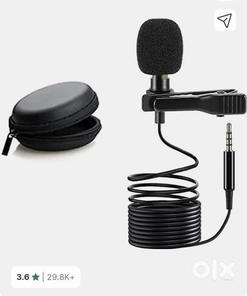 Microphone mick