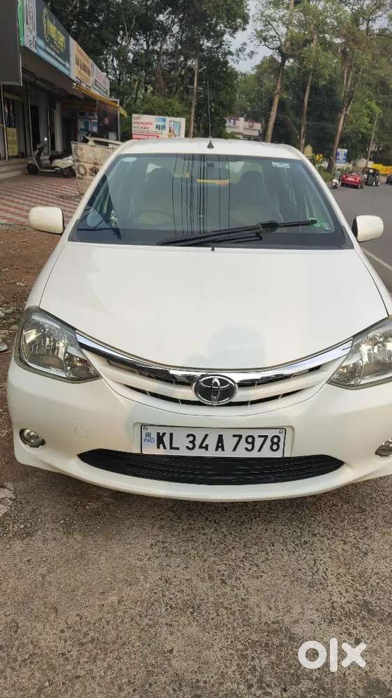 All Company Service Done