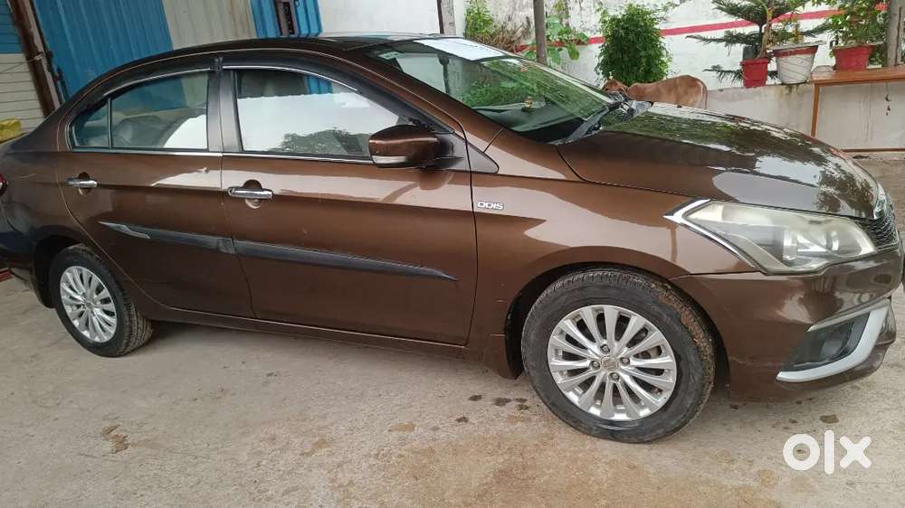 Maruti Suzuki Ciaz 2019 Diesel