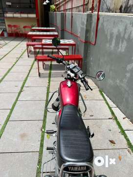 Yamaha rx 135 olx sale