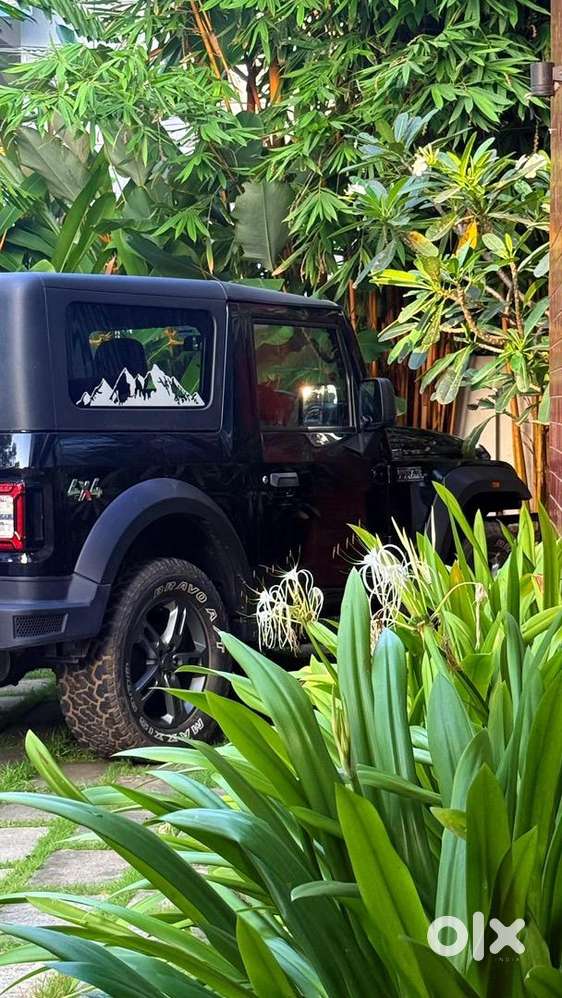 Mahindra Thar -less Driven