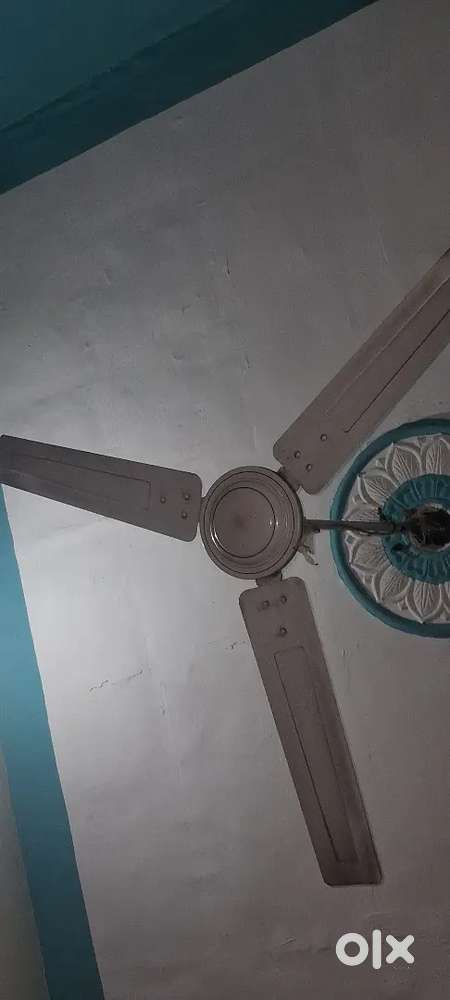 Celing fan