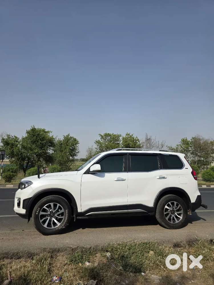 Scorpio-n Z8 2024  Vip 1111  Single Owner  Showroom Condition