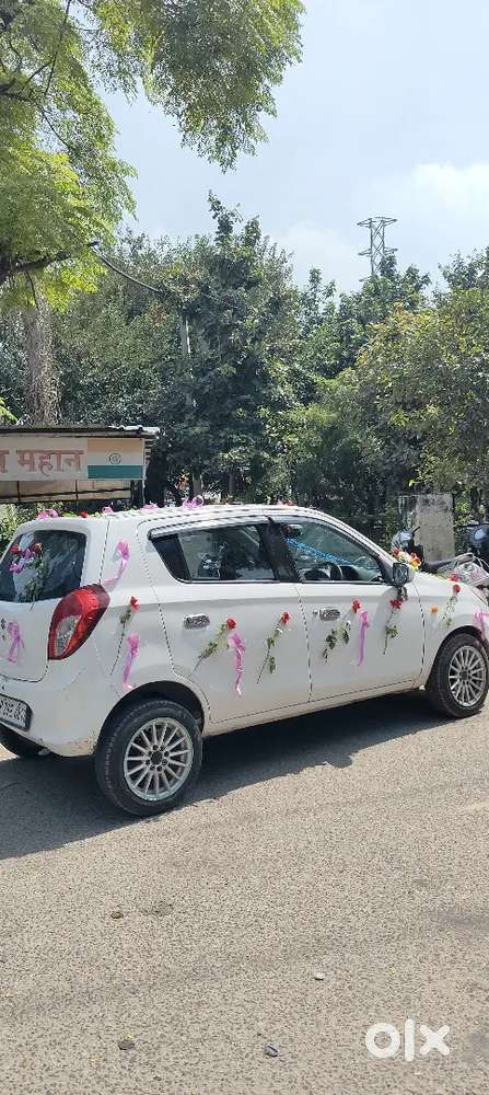 Alto 800 Brand New
