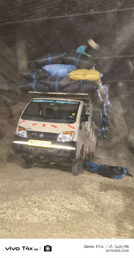 Brand Tata Model Ace Gold Petrol Age 2year