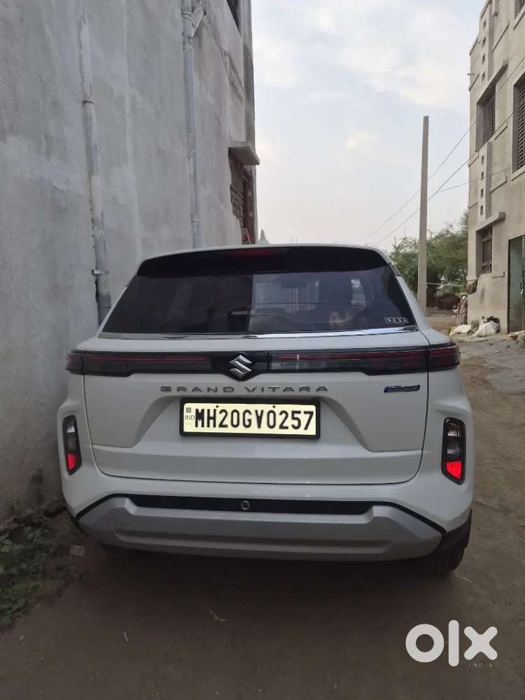 Maruti Suzuki Grand Vitara 2024 Petrol Well Maintained
