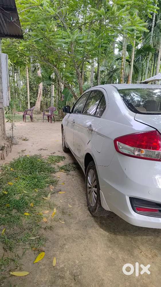 Maruti Suzuki Ciaz 2016 Diesel Good Condition. Sealed Engine. New Tyre