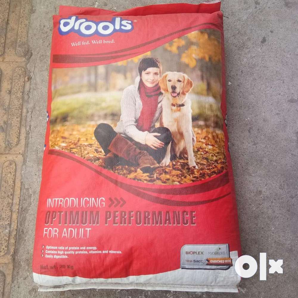 Dog food outlet olx