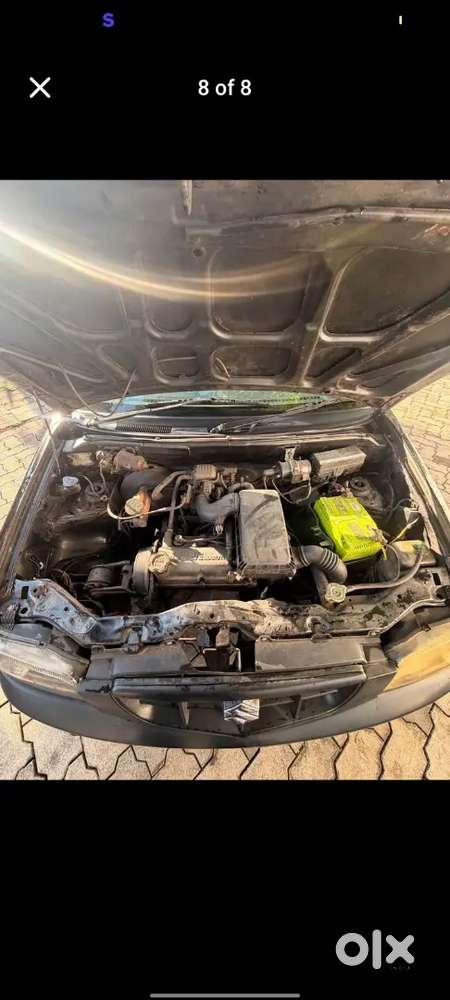 Maruti Suzuki Alto 2004 2029 Last Pepper