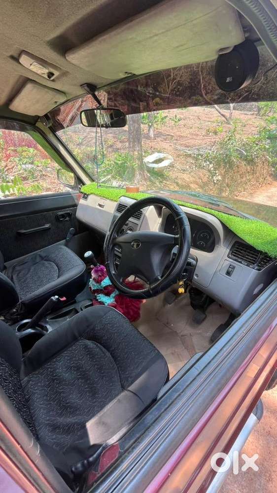 Sumo Gold Well Maintained