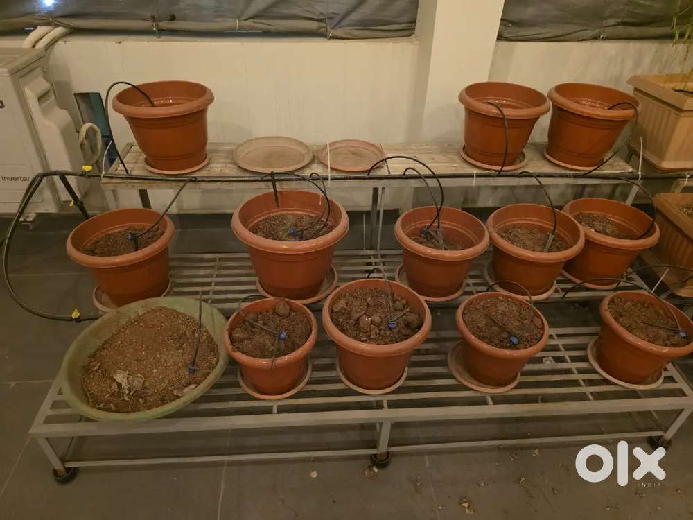 Plants iron stands / plants stands / iron stands