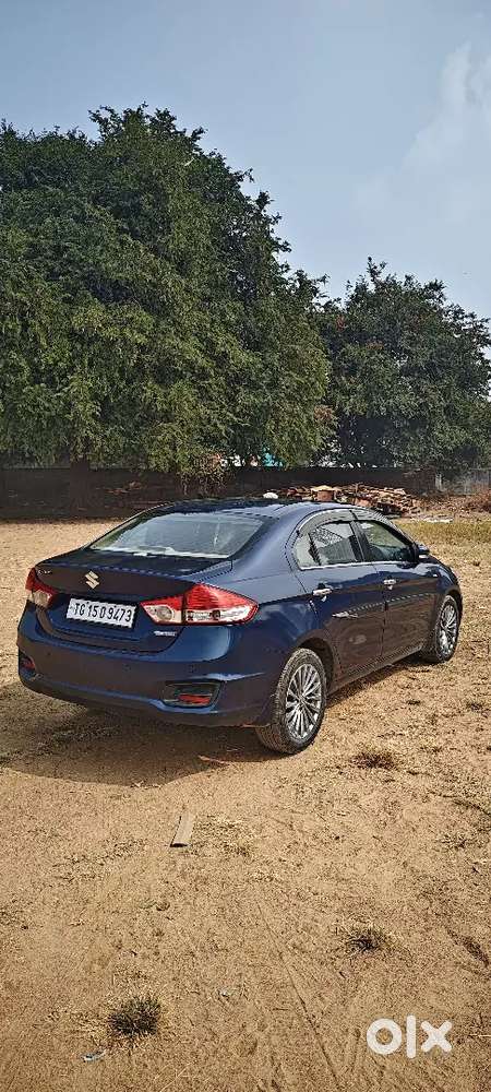 Maruti Suzuki Ciaz Alpha 2017 Diesel  Single Owner  86k Driven