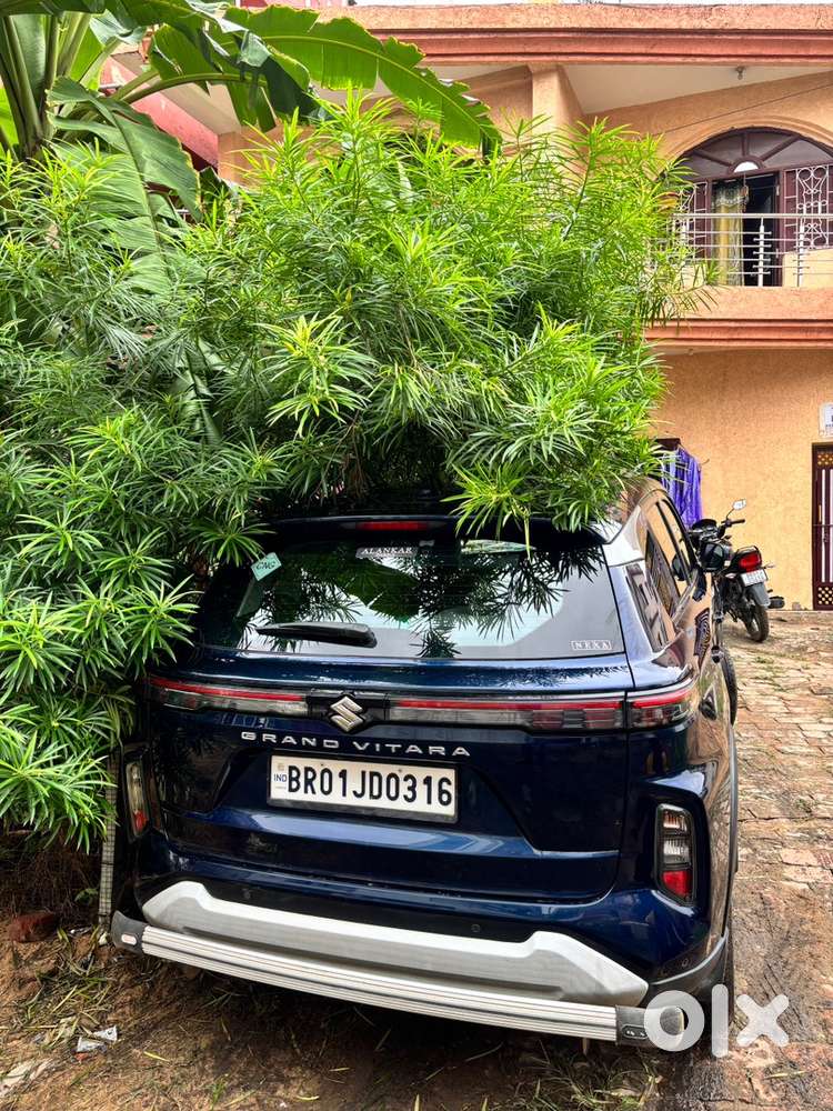 Grand Vitara Zeta Cng
