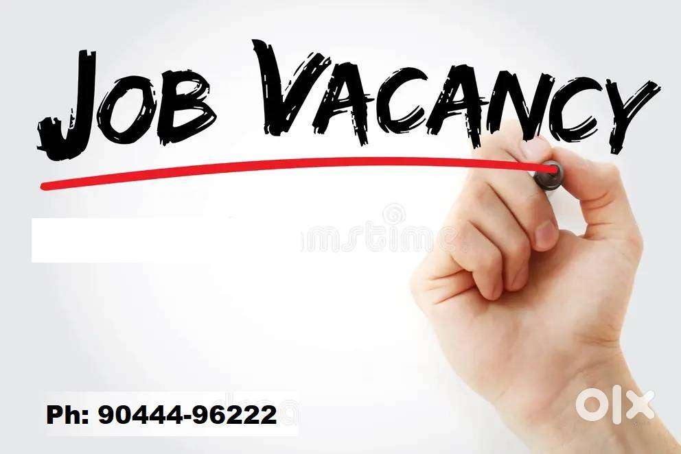 Accountant female wanted