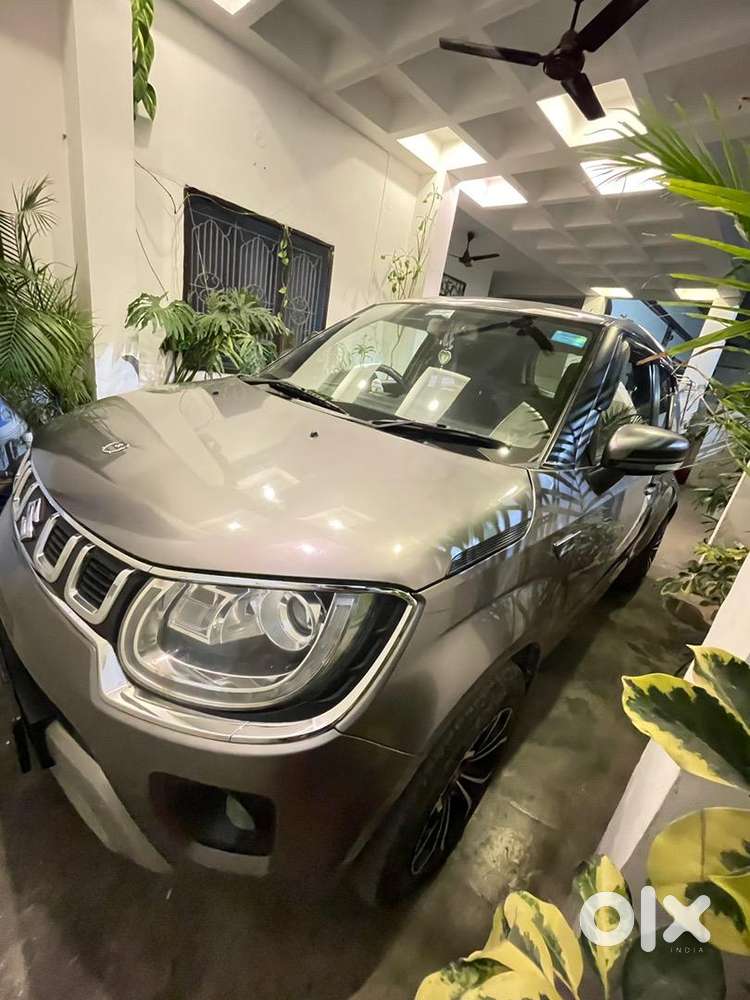 Maruti Suzuki Ignis 2018 Petrol Fully Loaded