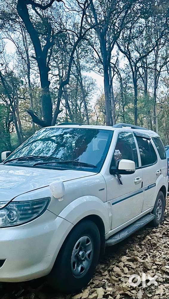 Safari Storme Ex 4x2