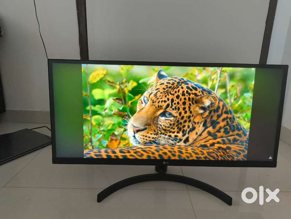 LG 29WL500 29 Inch (73 cm) Ultrawide WFHD LCD Monitor