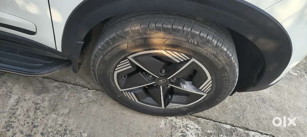 Tata Nexon 2024 Petrol Well Maintained