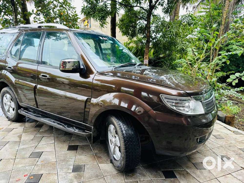 Well Maintained Family-owned Safari Storme Vx