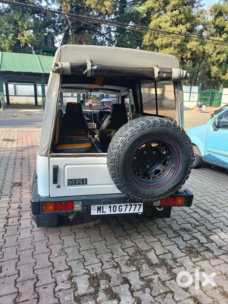 Gypsy King... All Papers  Are Up To Date