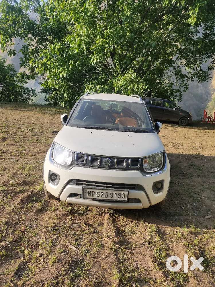 Ignis Zeta White 2020 Manual