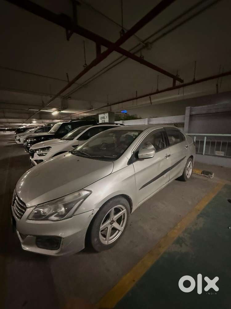 Ciaz Diesel Maruti 2017