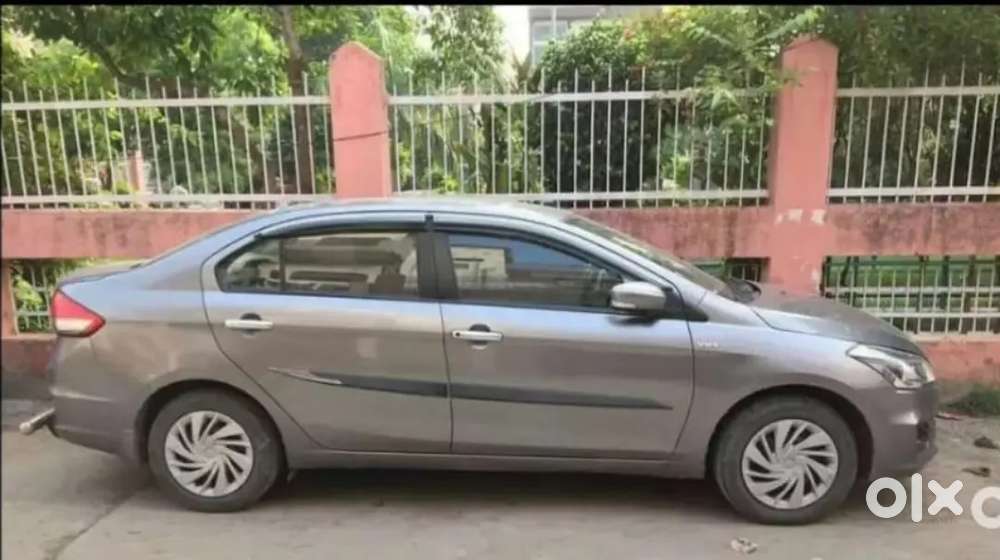 Maruti Suzuki Ciaz 2015 Cng & Hybrids