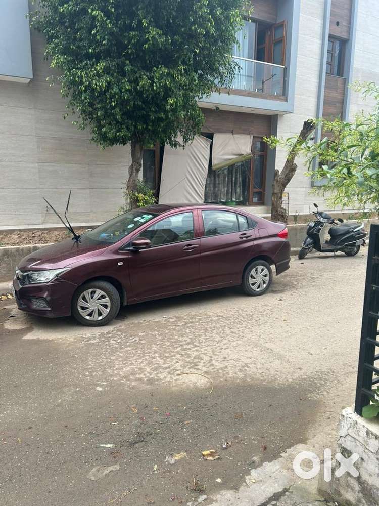 Single Driver By Govt Officer