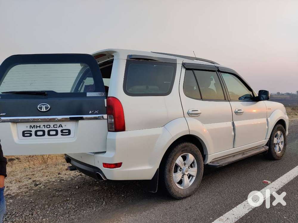 Safari Strome Vericor