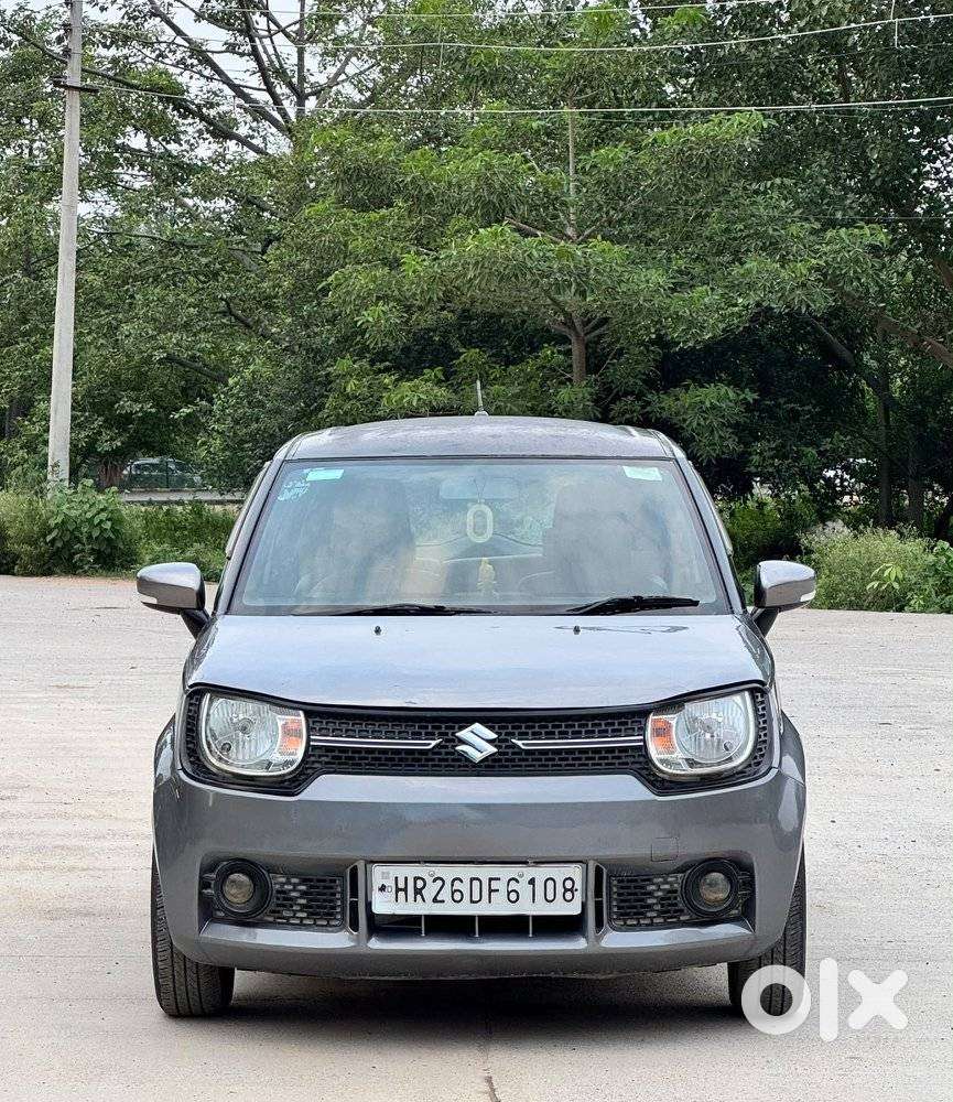 Maruti Suzuki Ignis 1.2 Delta Mt, 2017, Cng & Hybrids