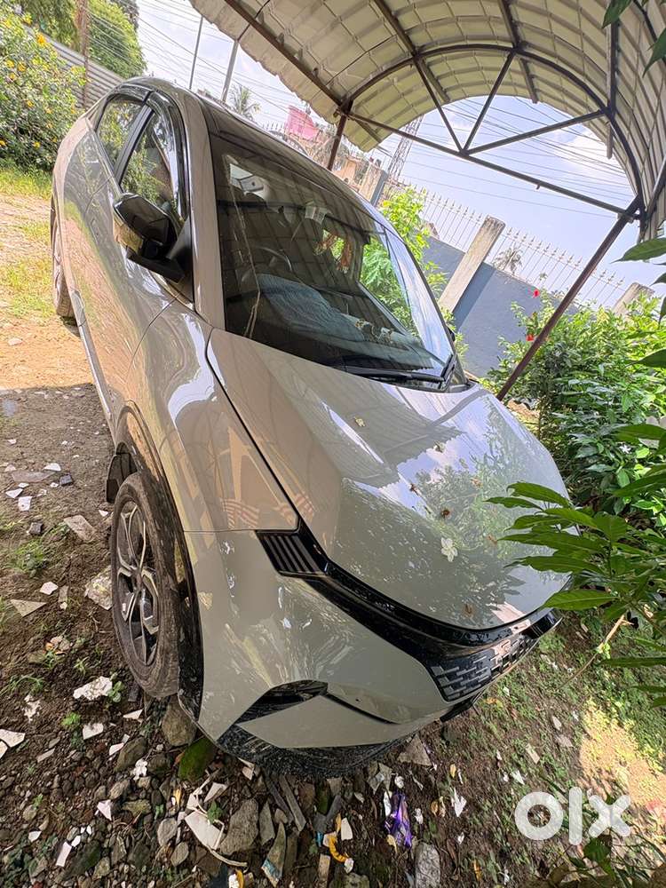 Tata Curvv Petrol 2024